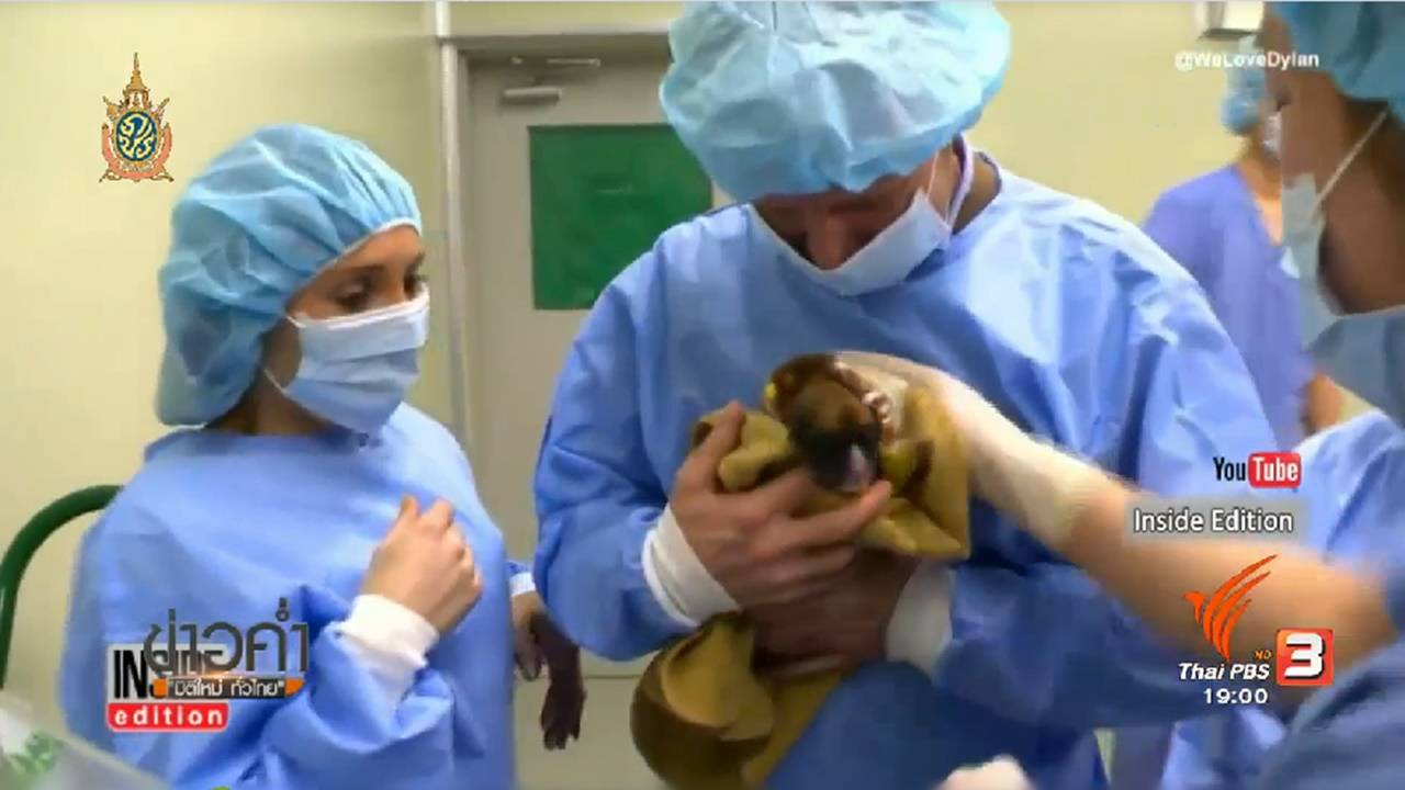 ศูนย์วิจัยเกาหลีใต้รับจ้างโคลนนิงสัตว์เลี้ยงแสนรักให้ฟื้นคืนชีพ ขอแค่คุณจ่าย 3.5 ล้านบาท