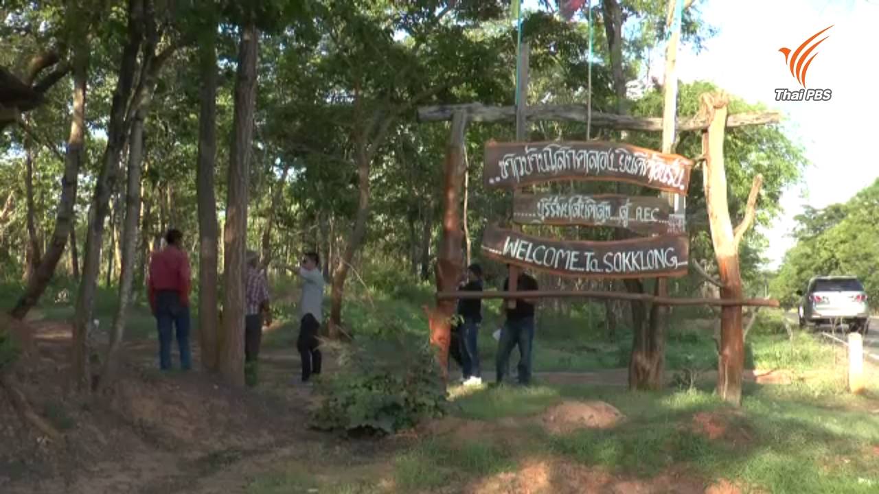 ดีเอสไอตรวจสอบนายทุน-ชาวบ้านบุกรุกป่า จ.บุรีรัมย์