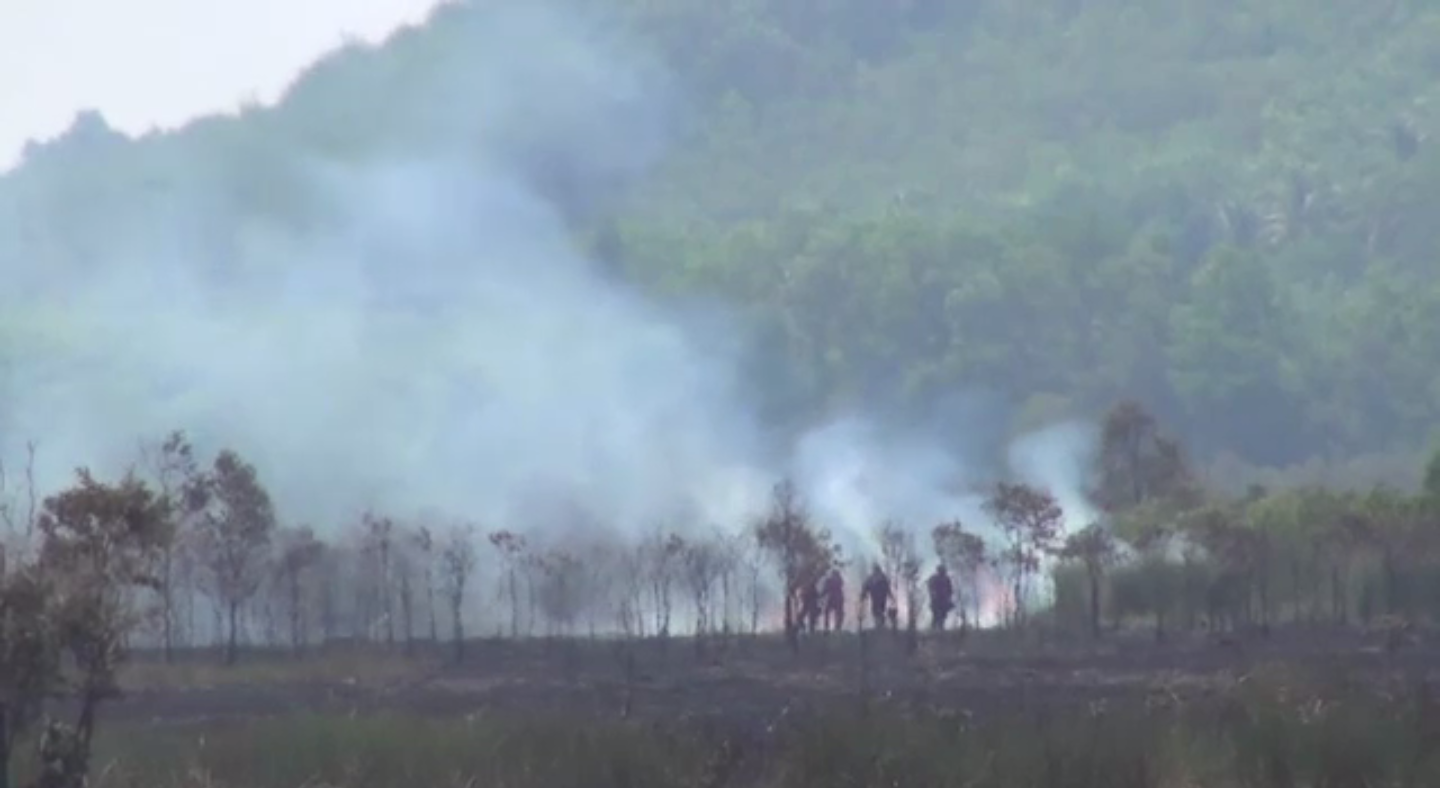 ไฟไหม้ป่าพรุควนเคร็ง จ.นครศรีธรรมราช เสียหายเกือบ 1,000 ไร่