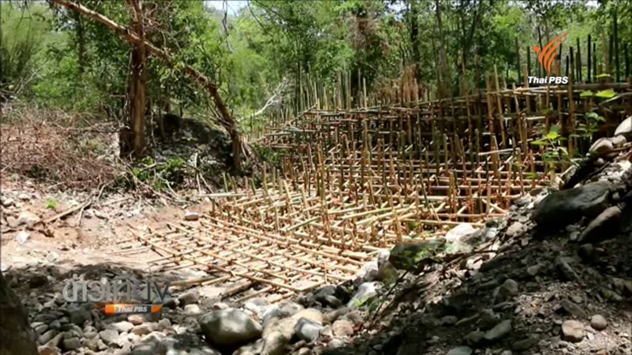 นักอนุรักษ์ค้านสร้างฝายบนพื้นที่ต้นน้ำอุทยานแห่งชาติดอยสุเทพฯ ชี้กระทบระบบนิเวศ