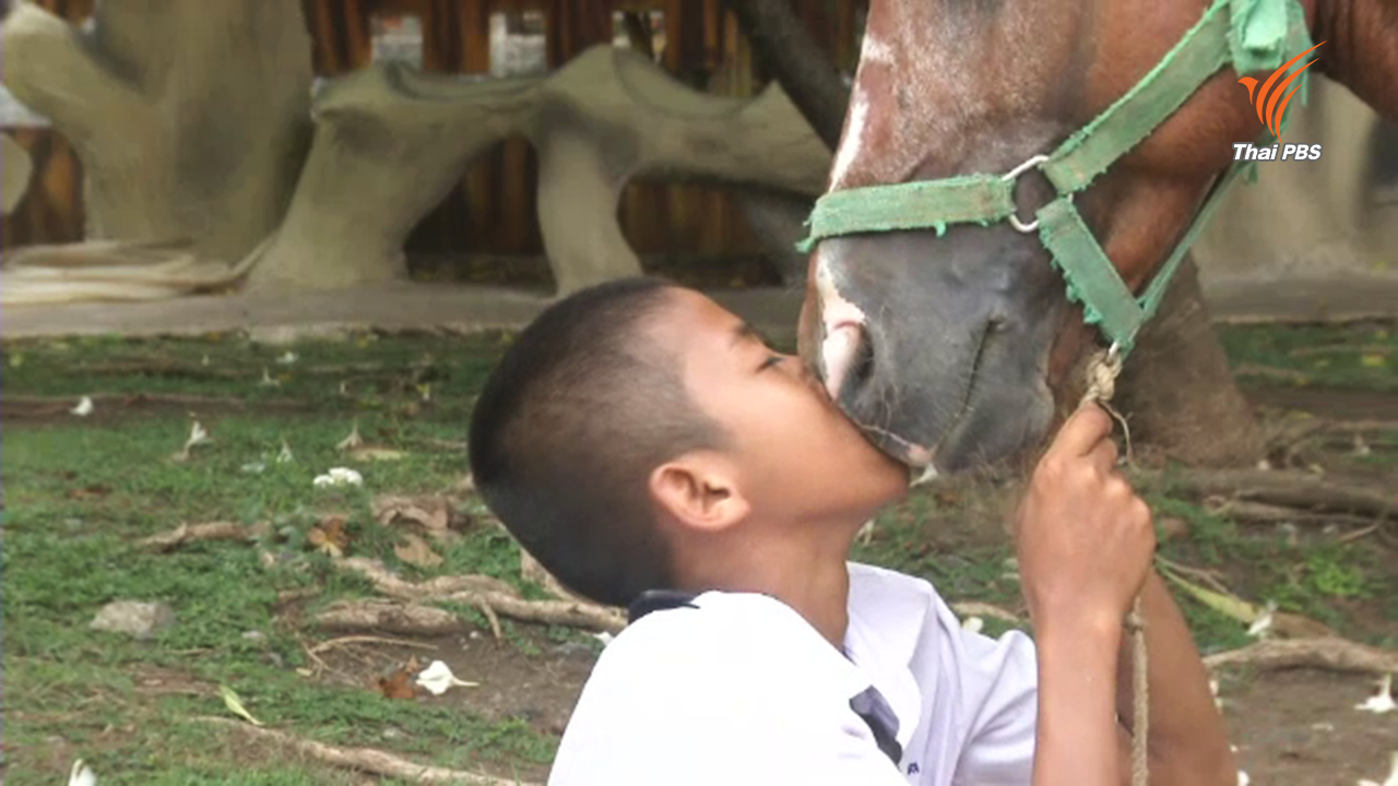 "น้องจี๊ฟ" เด็กชายผู้หลงใหลม้ากับความฝันสู่การเป็นทหารม้า