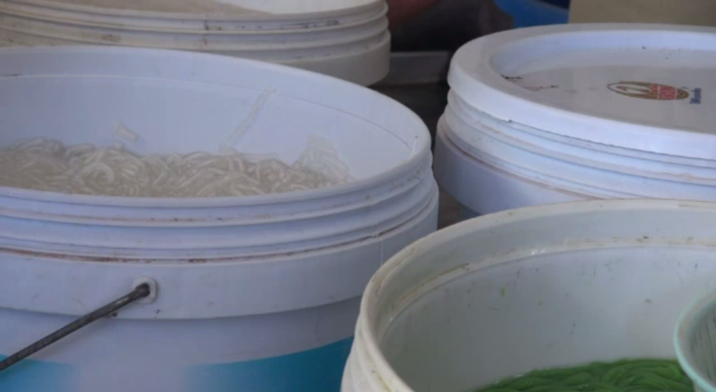 กรมอนามัยเตือนใช้ถังสีบรรจุอาหารเสี่ยงรับสารตะกั่ว-ระบบประสาทส่วนปลายอาจอัมพาต