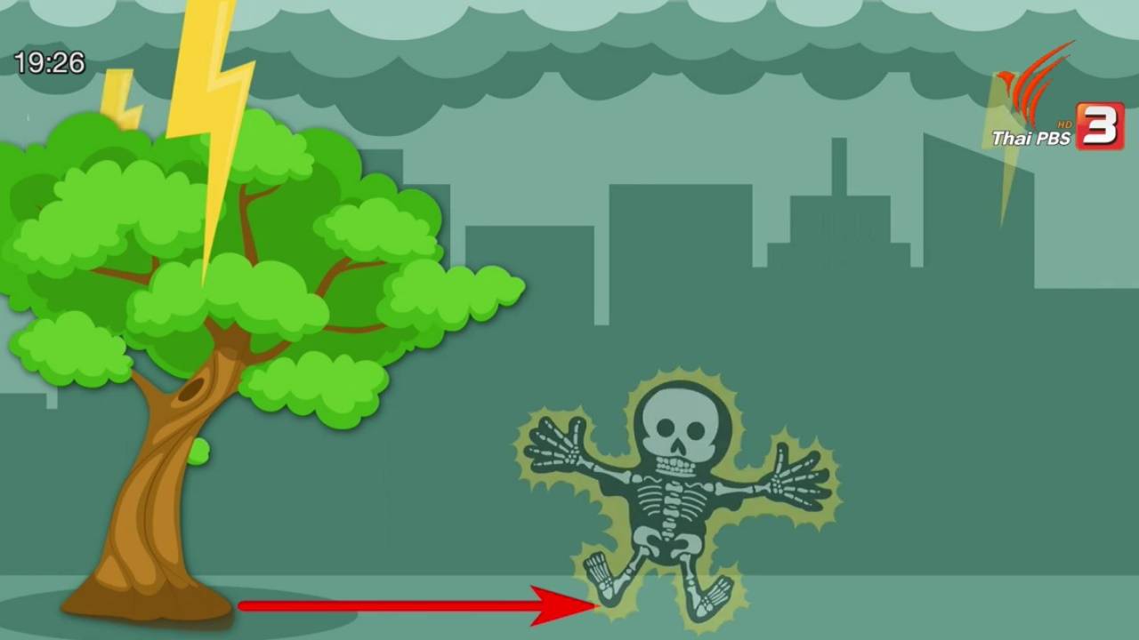 เตือนก่อนฝนตก-ตก 15 นาทีแรก เสี่ยงถูกฟ้าฝ่ามากสุด แนะหลบในอาคาร-รถยนต์-ต้นไม้เตี้ย ปลอดภัย