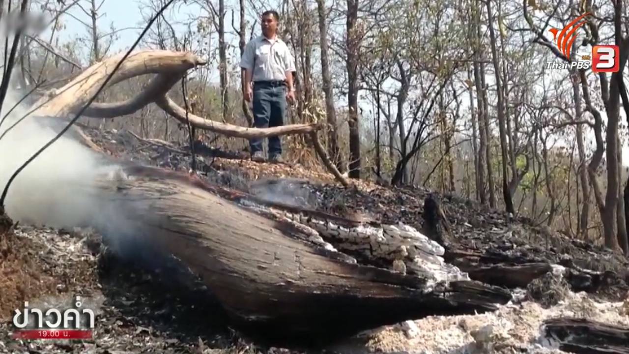 เตรียมทำฝนเทียมสัปดาห์นี้ ป้องกันไฟป่าเขตอุทยานแห่งชาติดอยสุเทพ-ปุย ปะทุ