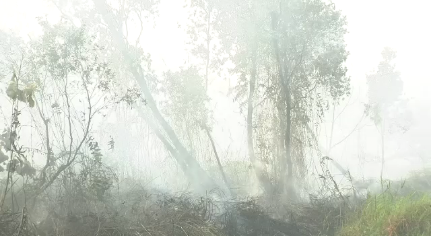 ชาวบ้านปอเนาะ จ.นราธิวาส กังวลหลังไฟป่าเข้าใกล้พื้นที่ชุมชน