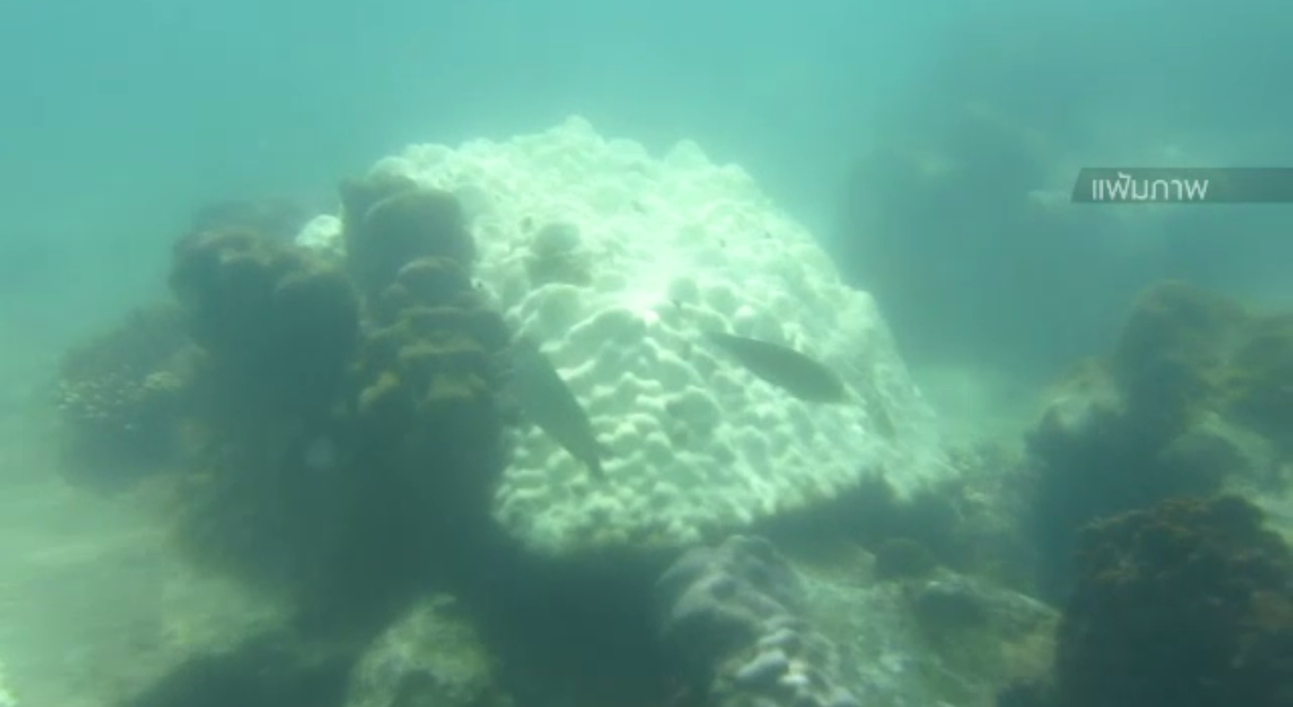 นักวิชาการแนะเฝ้าระวังปะการังฟอกขาว หลังอุณหภูมิน้ำทะเลสูงเกิน 30 องศาฯ