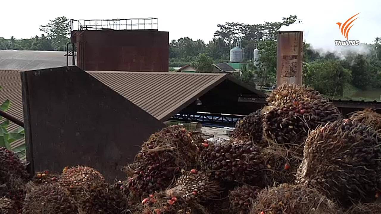 ตั้งเป้าลดก๊าซเรือนกระจกในภาคพลังงานและขนส่ง