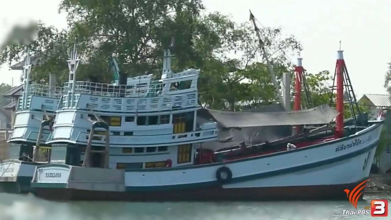 ทีดีอาร์ไอแนะรัฐบาลเร่งแก้ประมงผิดกฎหมายเพิ่ม 3 ประเด็น หนีใบแดงอียู