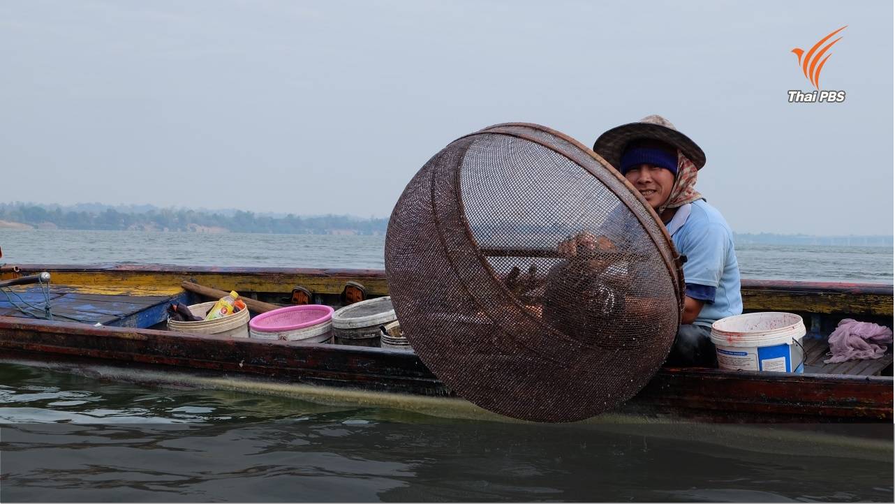 ล่ามโซ่แม่น้ำเซซาน (6): เขื่อนกับปลาในลุ่มน้ำสามเซ