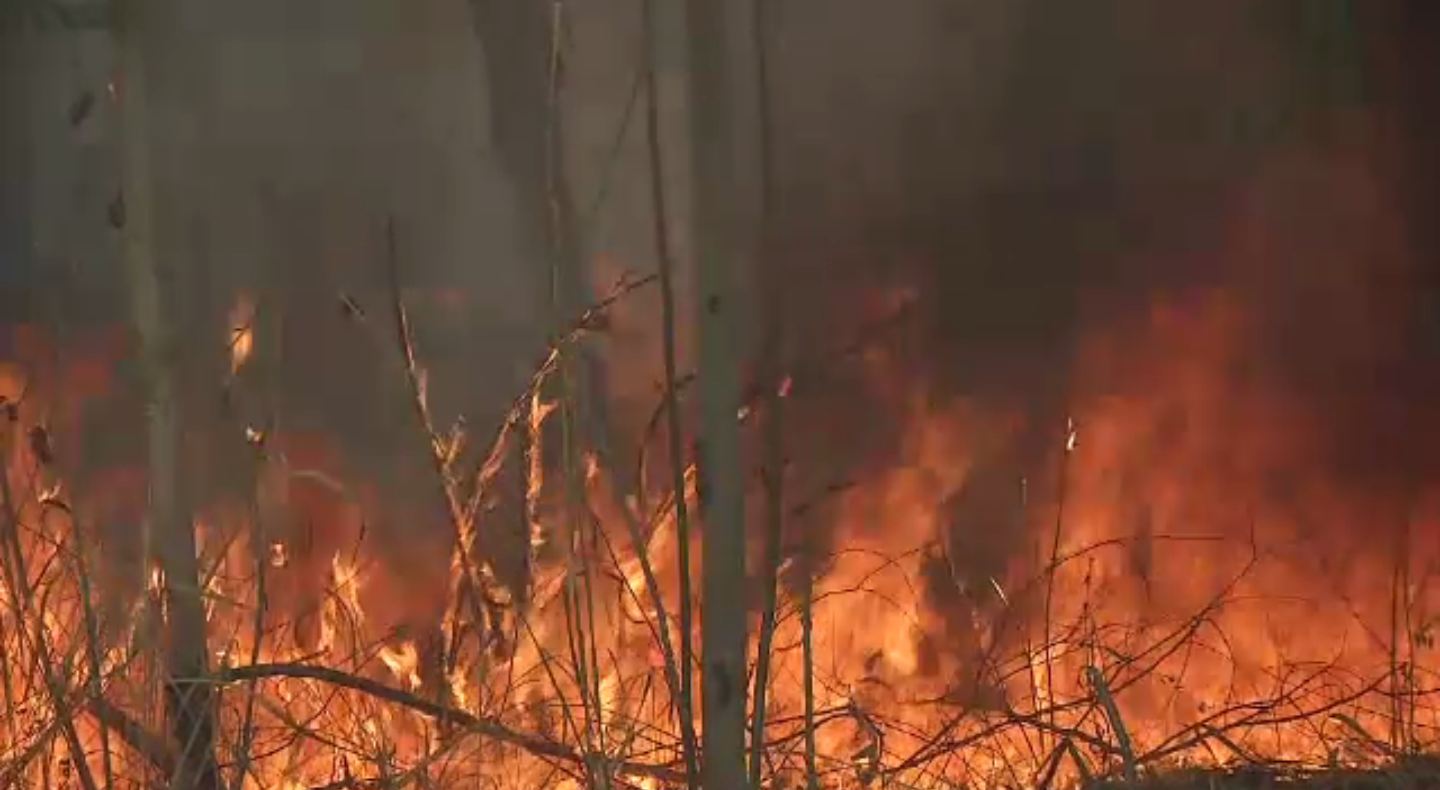 ไฟป่าท้ายเขตพุทธอุทยาน วัดป่ามหาวัน จ.ชัยภูมิ เสียหายกว่า 3,000 ไร่