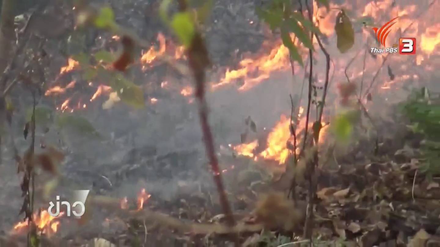ไฟป่าทำ 4 จังหวัดภาคเหนือ มีค่าฝุ่นละอองขนาดเล็กเกินมาตรฐาน -พบจุดความร้อนมากสุดในป่าอนุรักษ์