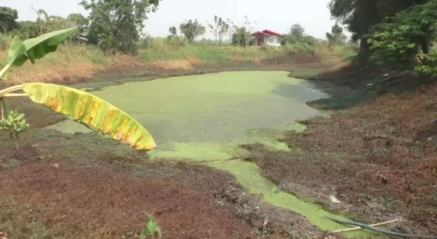 ชาวสวนมะละกอกำแพงเพชรร้องขุดบ่อดาลช่วยแล้ง-ทหารยังคงเดินหน้าแจกน้ำภาคอีสาน