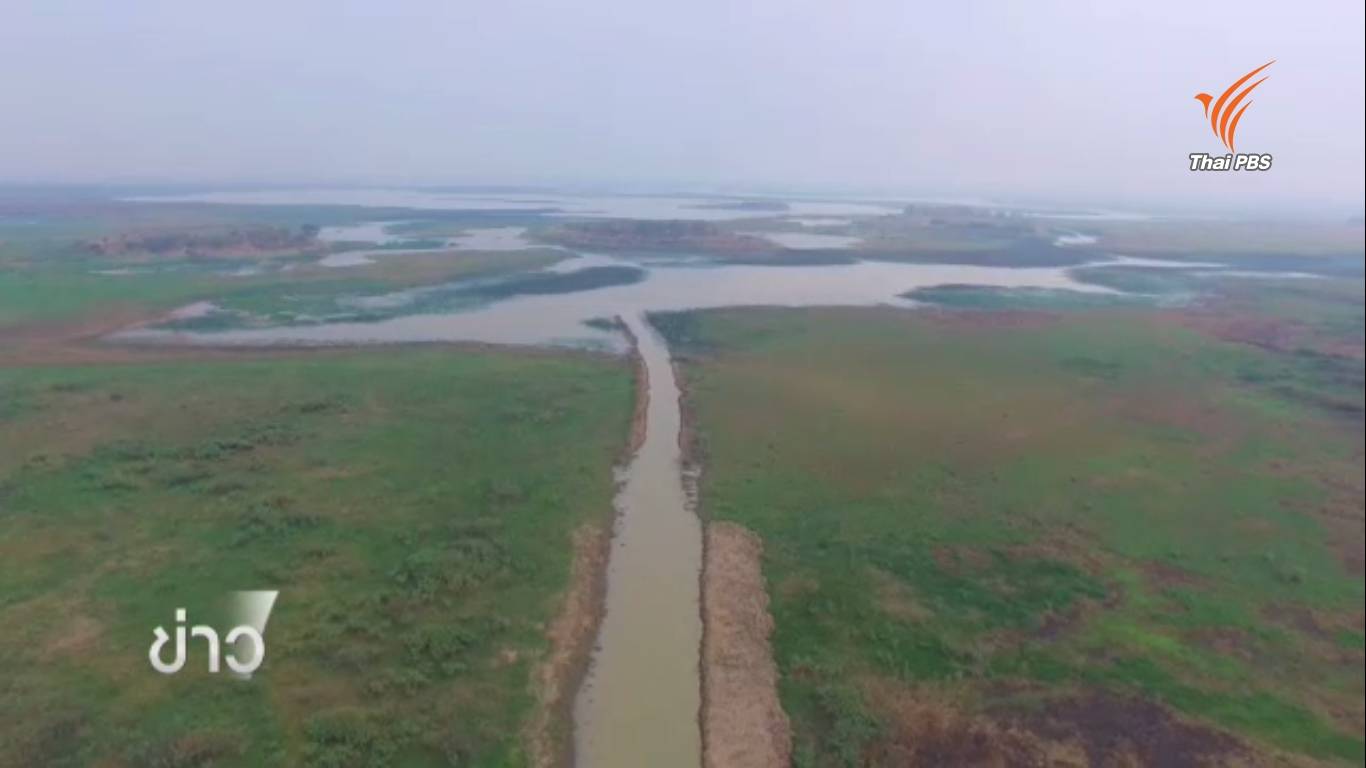 บึงบอระเพ็ด จ.นครสวรรค์ แล้งหนักสุดในรอบ 30 ปี