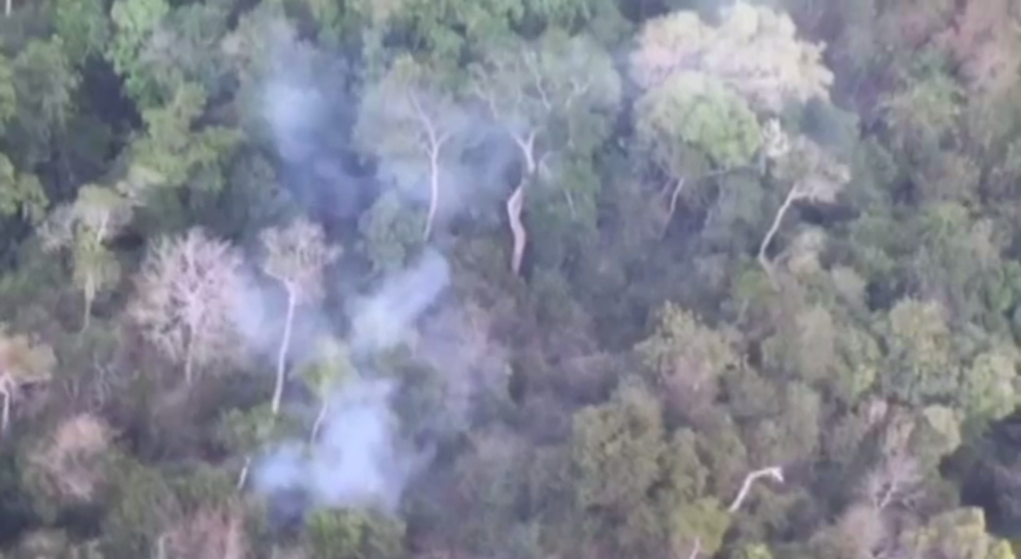 ประธานมูลนิธิฟื้นฟูชีวิตฯ เผยไฟป่ารุนแรงเกิดจากป้องกัน-ควบคุมไม่ถูกประเภทของป่า