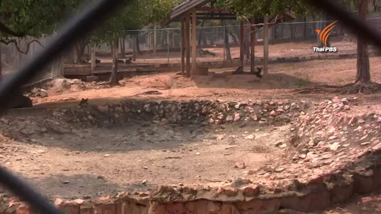 อ่างเก็บน้ำห้วยทราย จ.เพชรบุรี แล้งหนักถึงขั้นไม่มีน้ำ กระทบสัตว์ป่า-สัตว์ของกลาง 1,000 ตัว