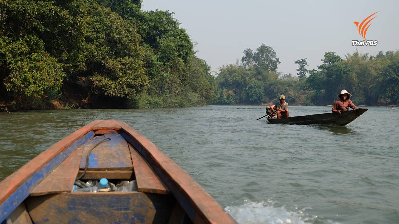 ล่ามโซ่แม่น้ำเซซาน (1) : เลือกปลาหรือเขื่อน