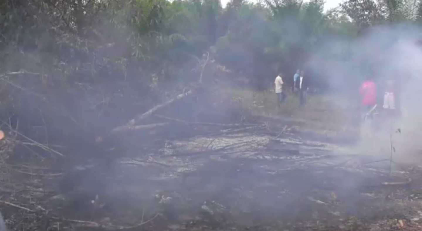 ไฟไหม้ป่าละเมาะกระบี่ลุกลามพื้นที่เกษตร เสียหายกว่า 120 ไร่ 
