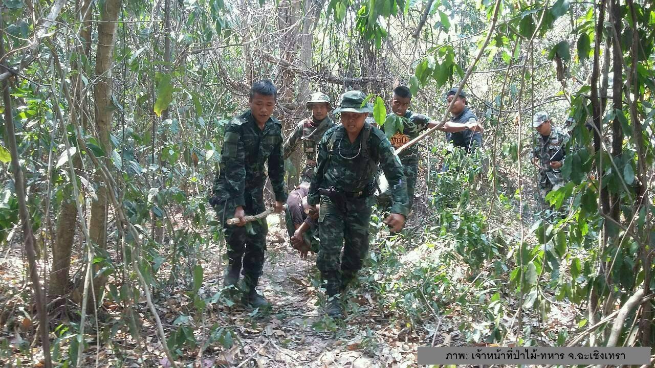 ช้างป่าเขาอ่างฤาไน ทำร้าย จนท.ป่าไม้ เสียชีวิต