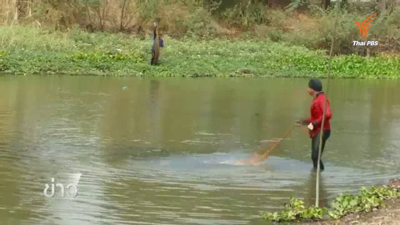 จ.สิงห์บุรี ประสบภัยแล้งต่อเนื่อง-ปลาในแม่น้ำเจ้าพระยาลดลง