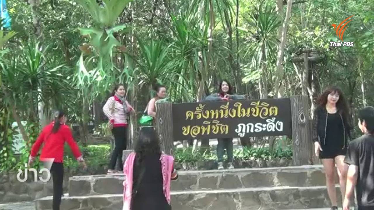 นักท่องเที่ยวไม่เห็นด้วยแนวคิดสร้างกระเช้าขึ้นภูกระดึง หวั่นกระทบสิ่งแวดล้อม-สัตว์ป่า