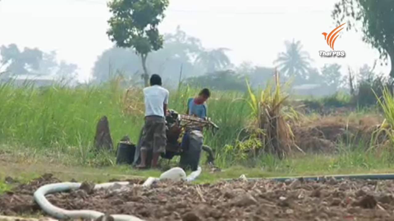 เกษตรกรหลายจังหวัดปรับตัวหนีภัยแล้ง พบเริ่มกระทบขนส่งทางน้ำที่ จ.มุกดาหาร