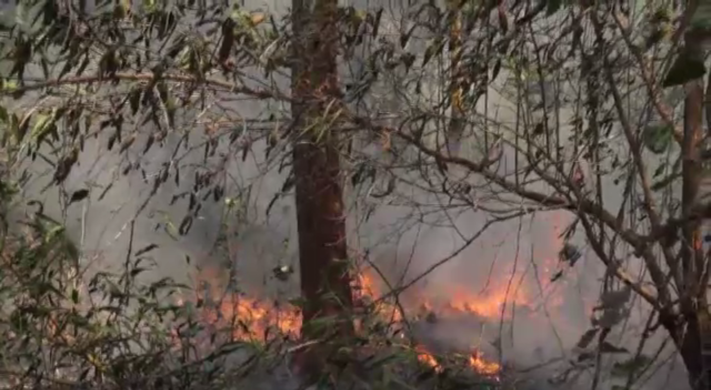 ไฟไหม้ทุ่งนาลุกลามล้อมหมู่บ้าน 2 ตำบลในเมืองตราด-ยังไม่สามารถควบคุมเพลิงได้