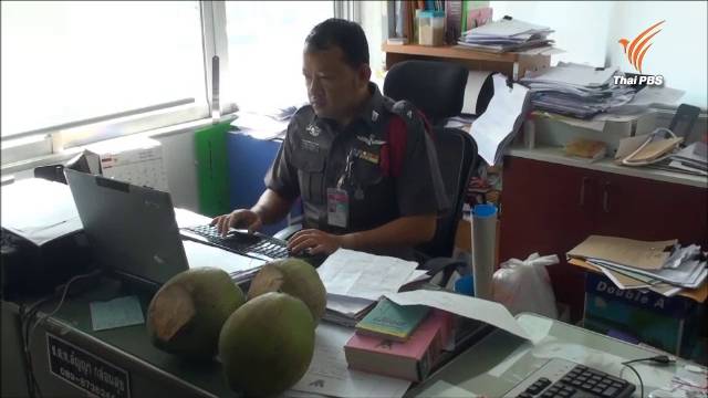 “ป้า” เจ้าของสวนทุ่งสงโอด ถูกขโมยผลไม้ในสวนมามากแล้ว ติดกล้องจับ-เจอลักมะพร้าว