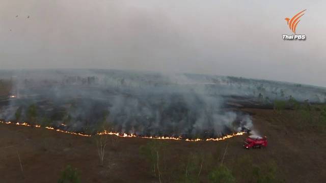 จนท.เร่งดับไฟป่า “ดงเหยี่ยวดำ” นครนายก พร้อมดูแลสัตว์ในศูนย์ช่วยเหลือสัตว์ป่าไม่ให้เครียด