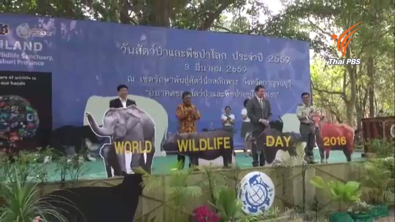 คืนสัตว์ป่าสู่ธรรมชาติ เนื่องในวันสัตว์ป่าและพืชป่าโลก 2559