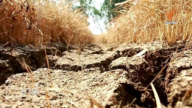 ห่วง "ภัยแล้ง" ทำหนี้สินเกษตรกรพุ่ง วอนรัฐแร่งแก้ปัญหาระยะยาว