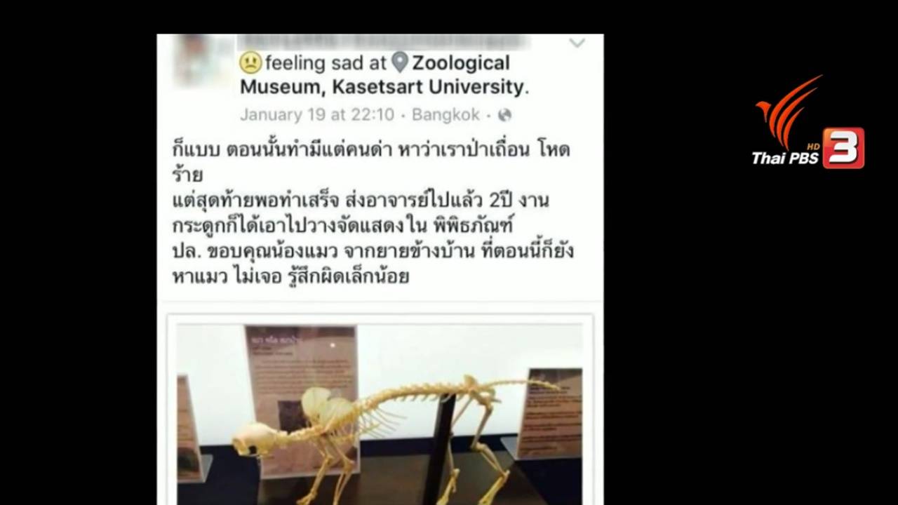 ม.เกษตรฯ เตรียมลงโทษทางวินัยนิสิตกุข่าวการุณยฆาตแมว ทำโครงกระดูกส่งอาจารย์