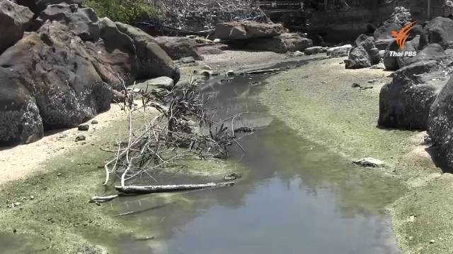 พังงา-กระบี่ รณรงค์ "รีสอร์ท-ร้านค้า" สร้างบ่อบำบัดน้ำ แก้ปัญหาปล่อยน้ำเสียลงสู่ทะเล