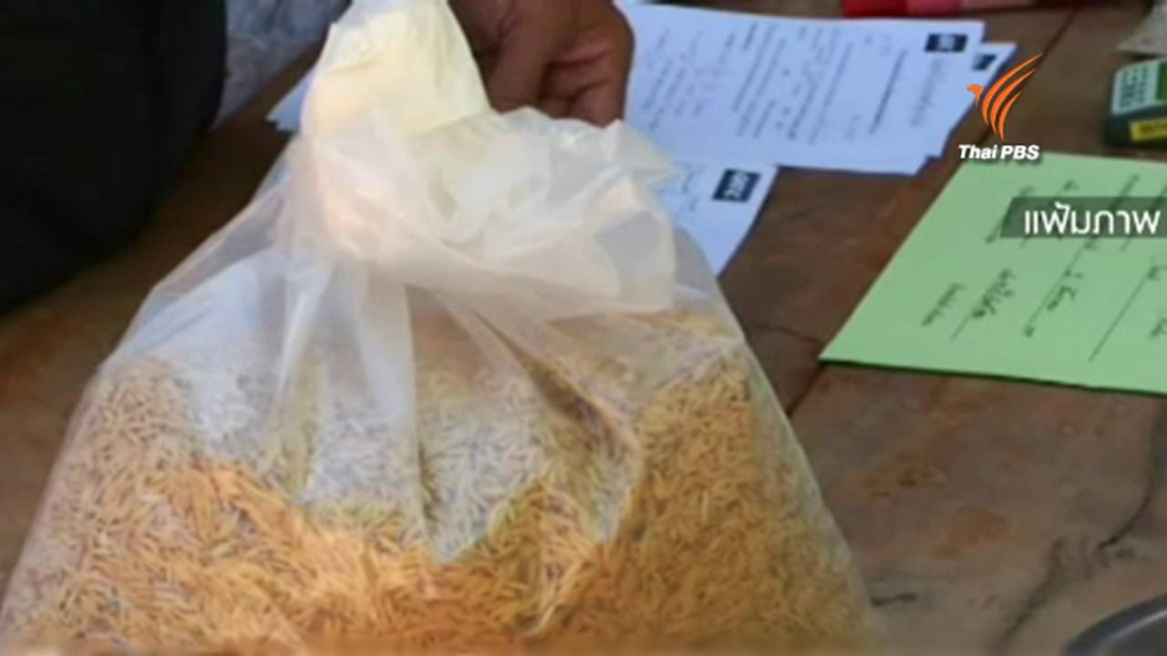 ธ.ก.ส.เตรียมระบายข้าวนาปีโครงการชะลอขายฯ ปี58/59 ล็อตแรก 5 หมื่นตัน หลังแนวโน้มราคาข้าวพุ่ง