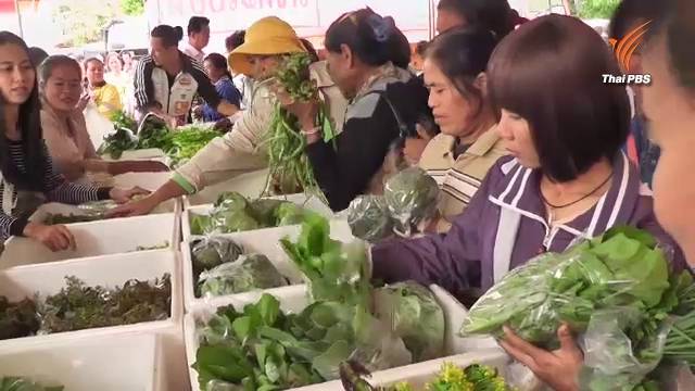 ชาวบ้านรอบเหมืองแร่ทองคำพิจิตร ใช้คูปองแลกพืชผักปลอดสารพิษ แต่จะหมดสิ้นเดือนนี้แล้ว