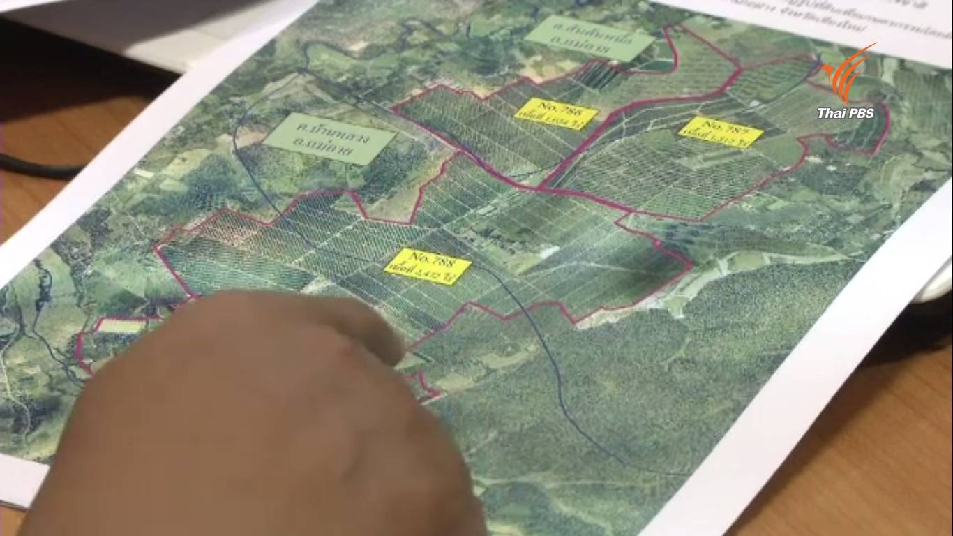 ตรวจสอบสวนส้ม จ.เชียงใหม่ใช้ที่ดิน ส.ป.ก.กว่า 6,000 ไร่