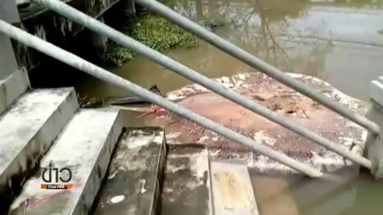 จนท.เก็บตัวอย่างน้ำแม่น้ำแม่กลองหาสาเหตุกระเบนตาย