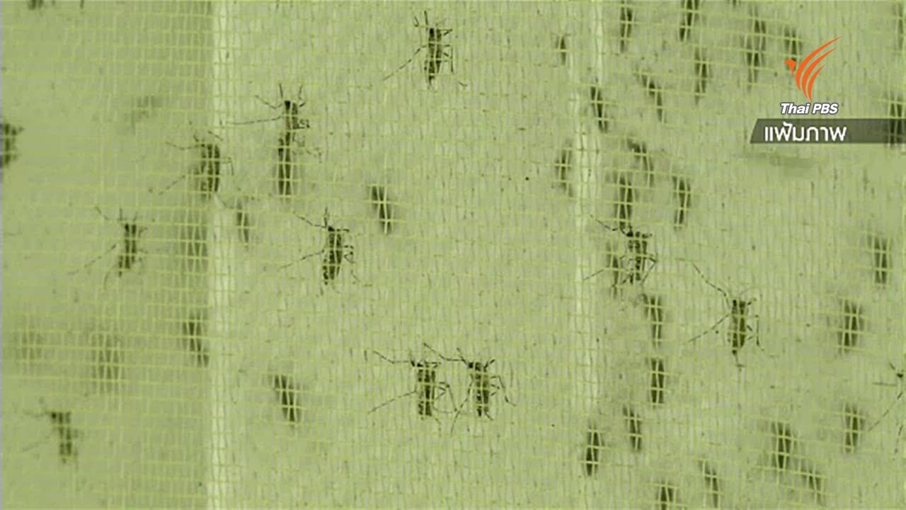 ผู้ติดเชื้อไวรัสซิกาคนแรกในมาเลเซียเสียชีวิตแล้ว