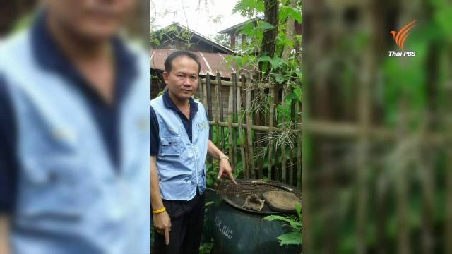 ชาวบ้าน จ.น่าน กินเนื้อคางคก ดับ 2 อีก 3 คนสาหัส