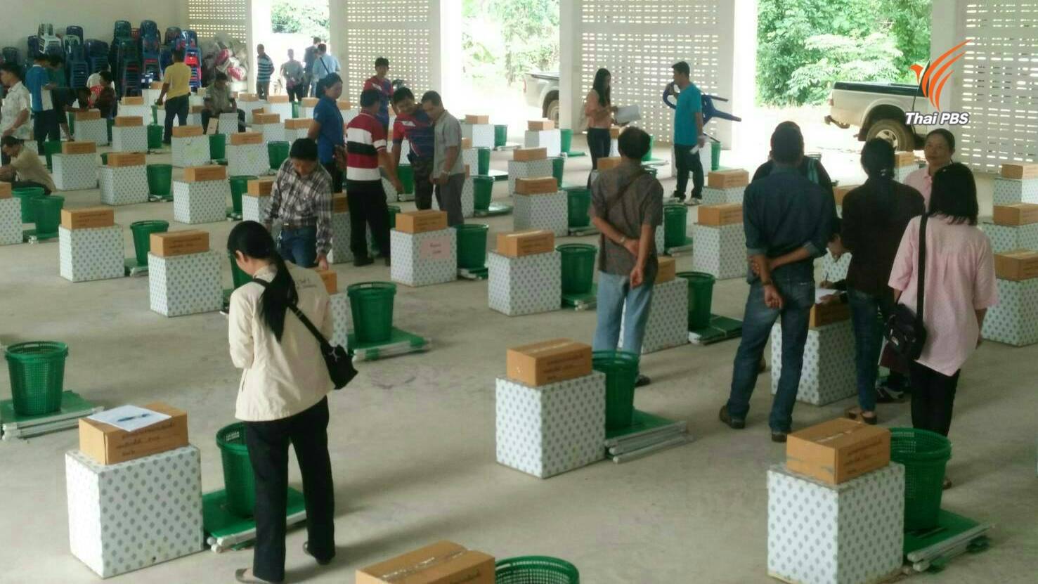 เชียงใหม่เตรียมพร้อมรับการลงประชามติ 7 ส.ค.นี้