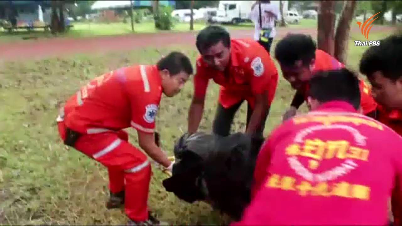 รับศพชาวกัมพูชาลักลอบตัดไม้พะยูงป่าทับลาน หนี จนท.ตกเขา