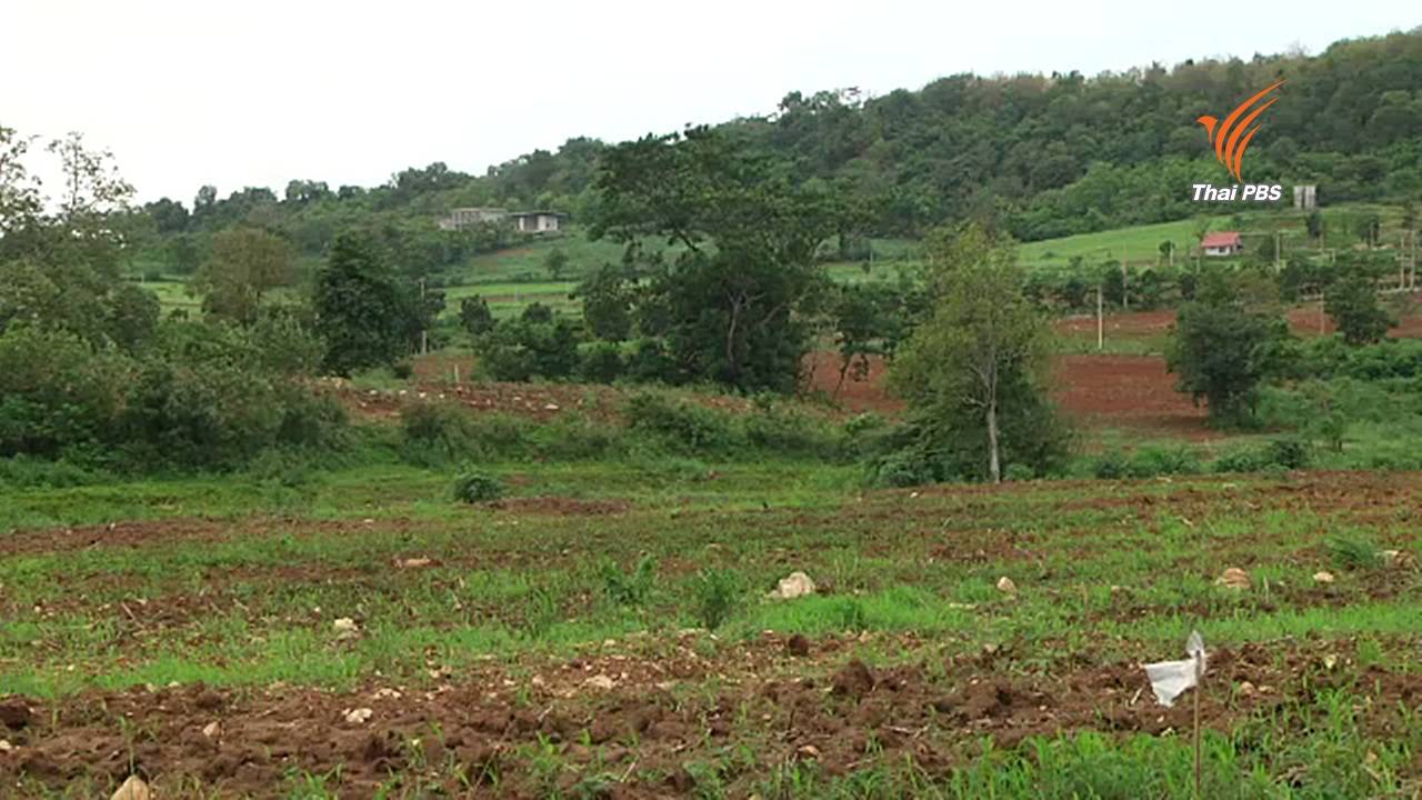 สปก.ปักป้ายยึดวันนี้ 2 แปลง ที่ดิน "พล.ต.ต.ชาลี เภกะนันทน์-ชูเกียรติ ตั้งพงษ์ปราชญ์" รุกสปก.ปากช่อง