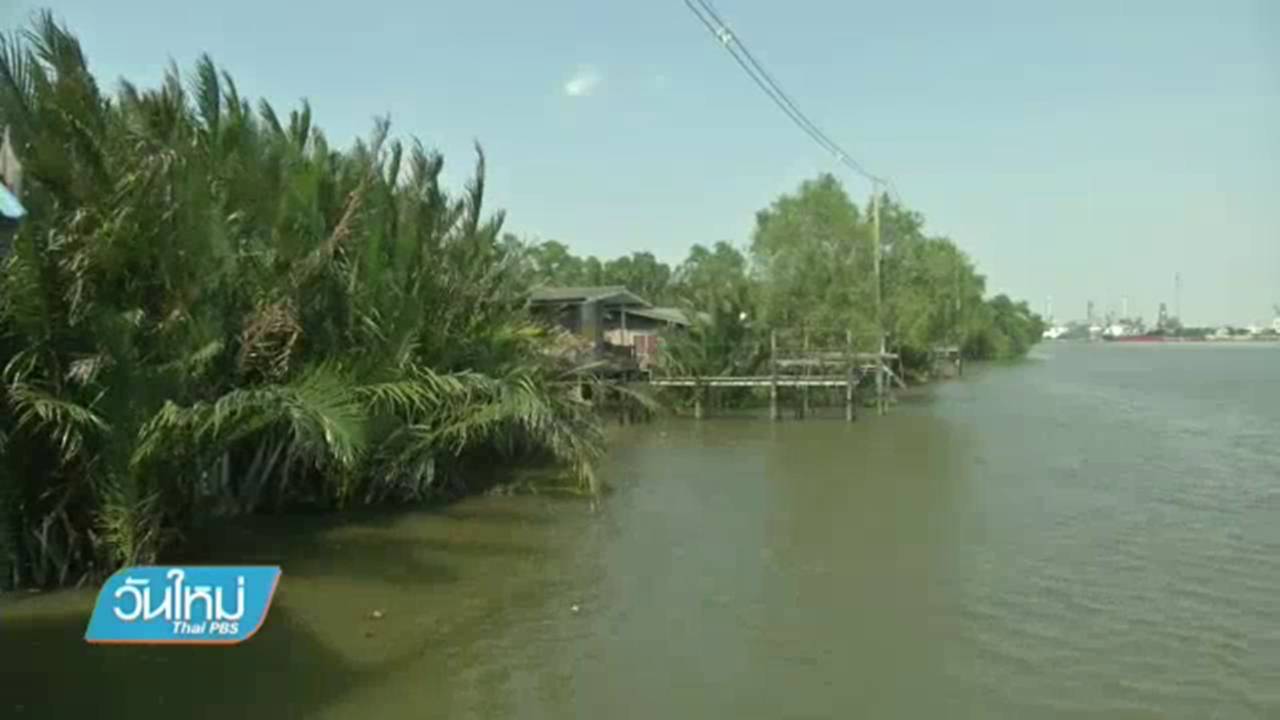 ค้านสร้างถนนรอบคุ้งบางกระเจ้า หวั่นกระทบสิ่งแวดล้อม