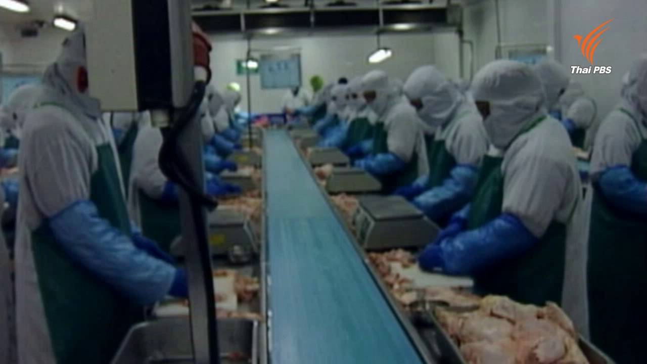 Brexit กระทบไทยส่งออกไก่ เล็งขยายตลาดญี่ปุ่น