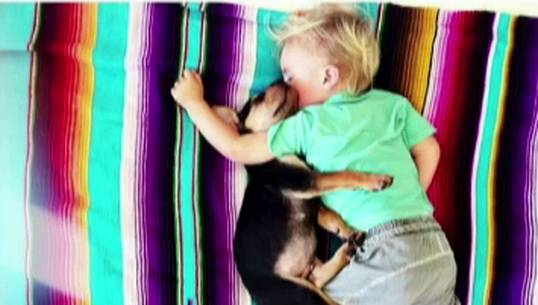 ภาพถ่ายลูกสุนัขนอนหลับข้างเด็กทารกในสหรัฐฯ