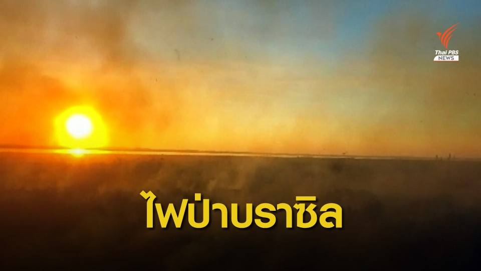 8 เดือนป่าแอมะซอนบราซิลเผชิญไฟไหม้ 72,000 จุด