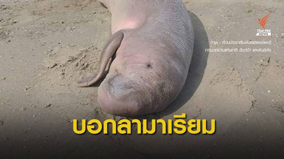 โซเชียลสุดเศร้า บอกลา "มาเรียม" ครั้งสุดท้าย