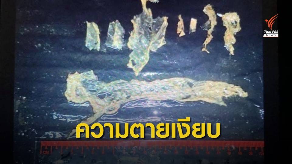 “ธรณ์” กร้าวแบนถุงพลาสติก วอน “มาเรียม” เหยื่อตัวสุดท้าย