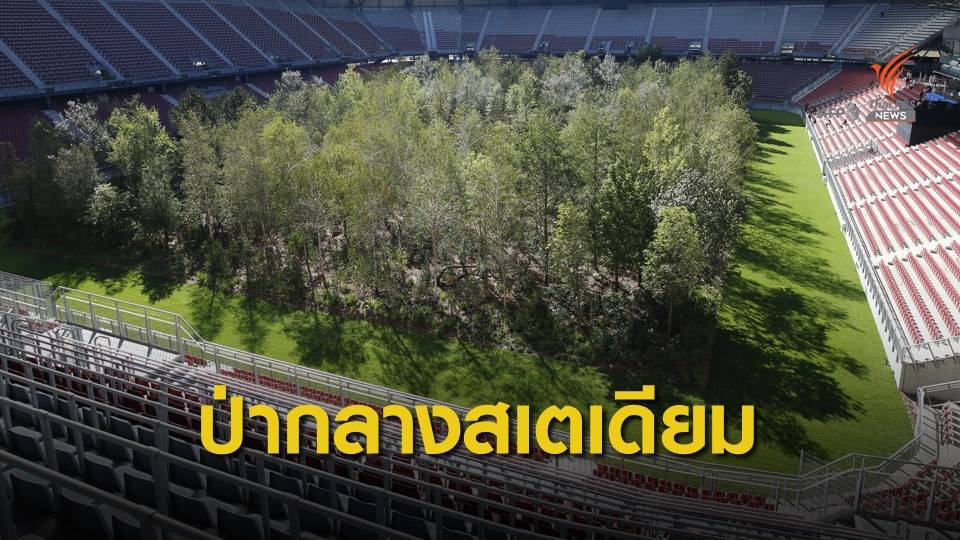 เนรมิตป่ากลางสนามฟุตบอลในออสเตรีย