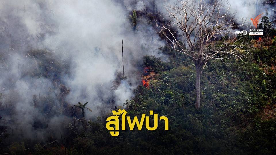 ทั่วโลกกดดัน! บราซิลระดมทหารดับไฟป่าแอมะซอน