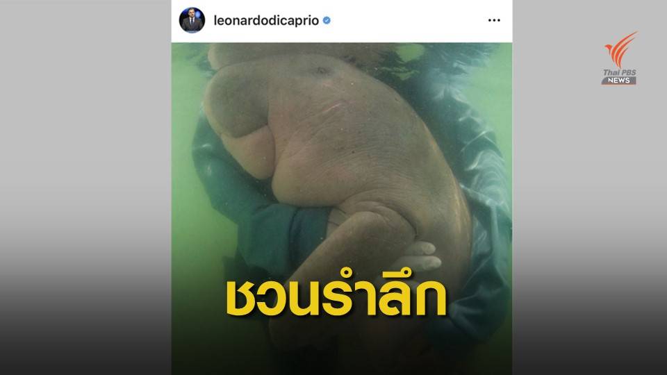 ลิโอนาร์โด โพสต์ถึง "มาเรียม" ขวัญใจคนไทยตายจากพลาสติก
